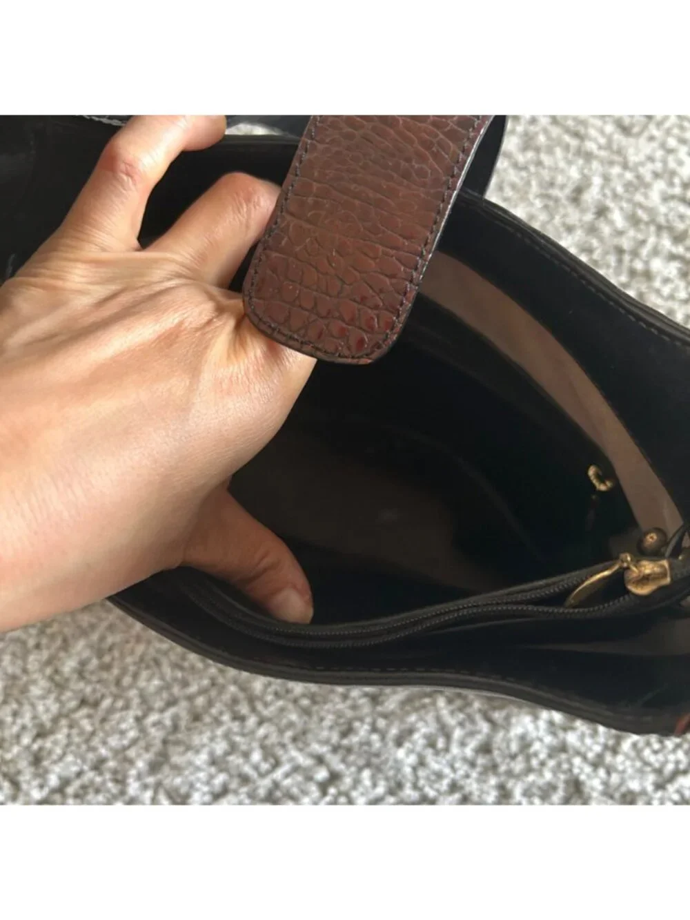Brahmin this shoulder